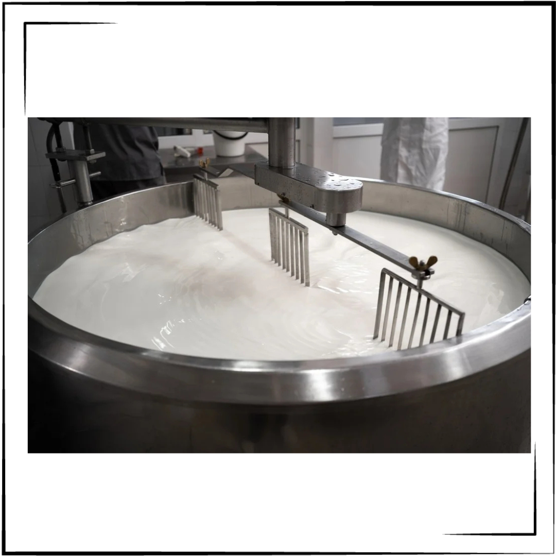 Dairy Processing Plant